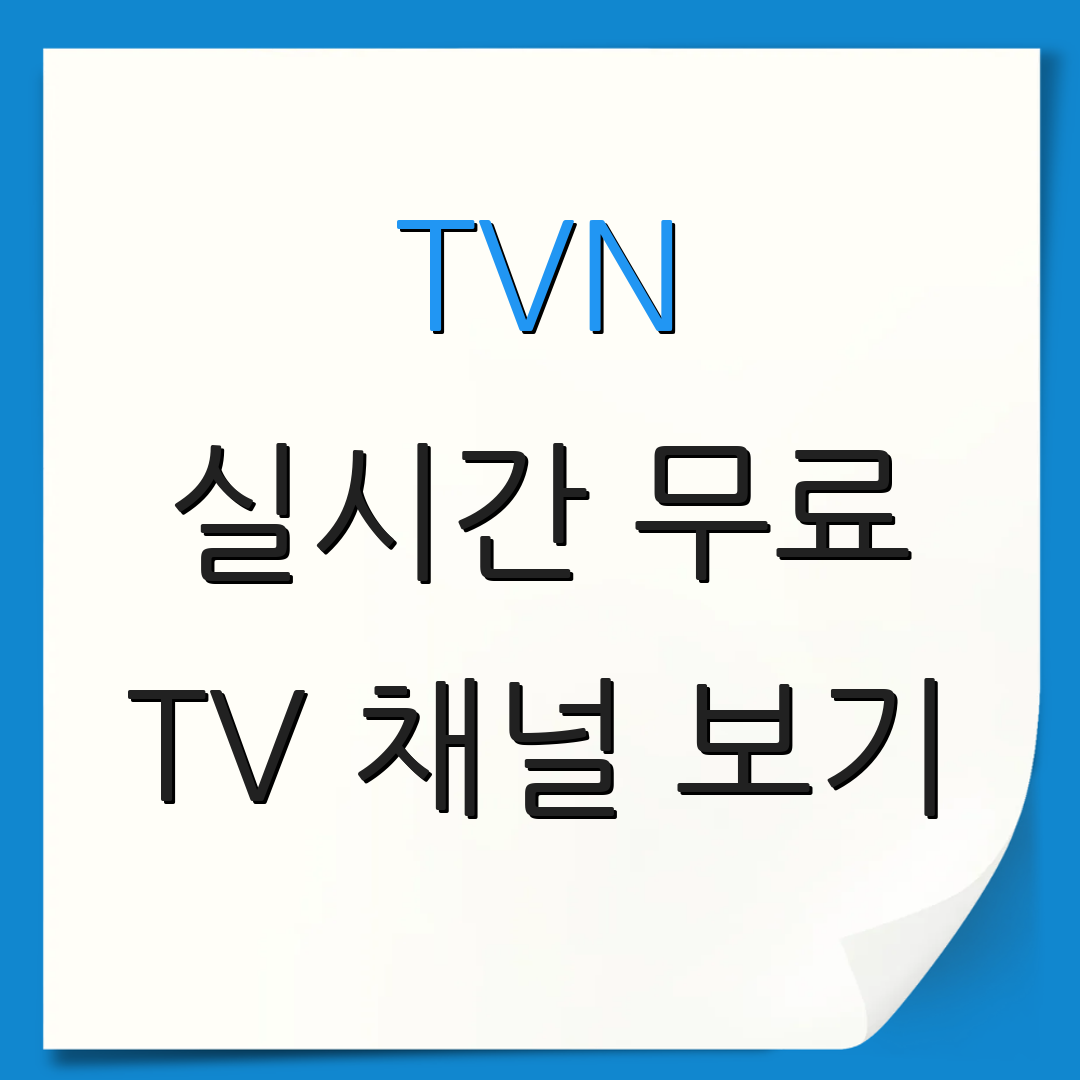 TVN 실시간 무료 TV 채널 보기 | 생방송 즐기기 | 최신 프로그램 안내