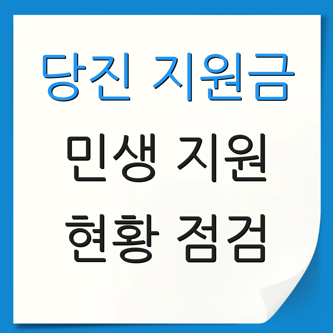 당진 지원금 민생 지원 현황 점검 | 지원 방안 모색 | 정책 개선 방안