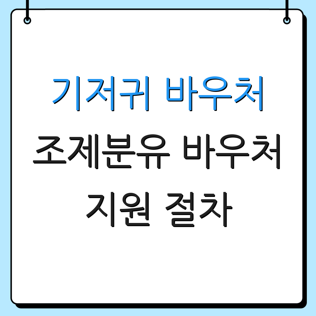 기저귀 바우처 조제분유 바우처 지원 절차 | 대상 요건 | 금액 안내